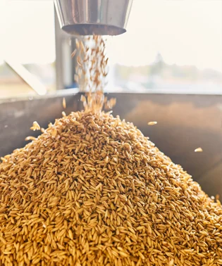 advanced testing monitoring