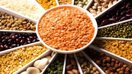 Different Types of Pulses (Dals) and Their Benefits