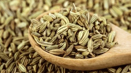 Health Benefits of Fennel Seeds (Saunf)