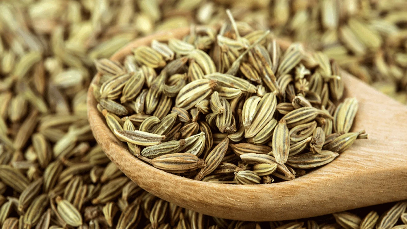 Health Benefits of Fennel Seeds (Saunf)