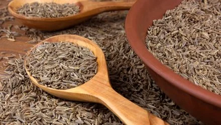 Why Choose Viyan Agro for Your Cumin Seeds / Jeera Requirement?