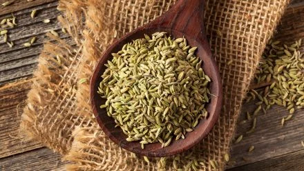 Why Choose Viyan Agro for Your Fennel Seeds / Saunf Requirement?