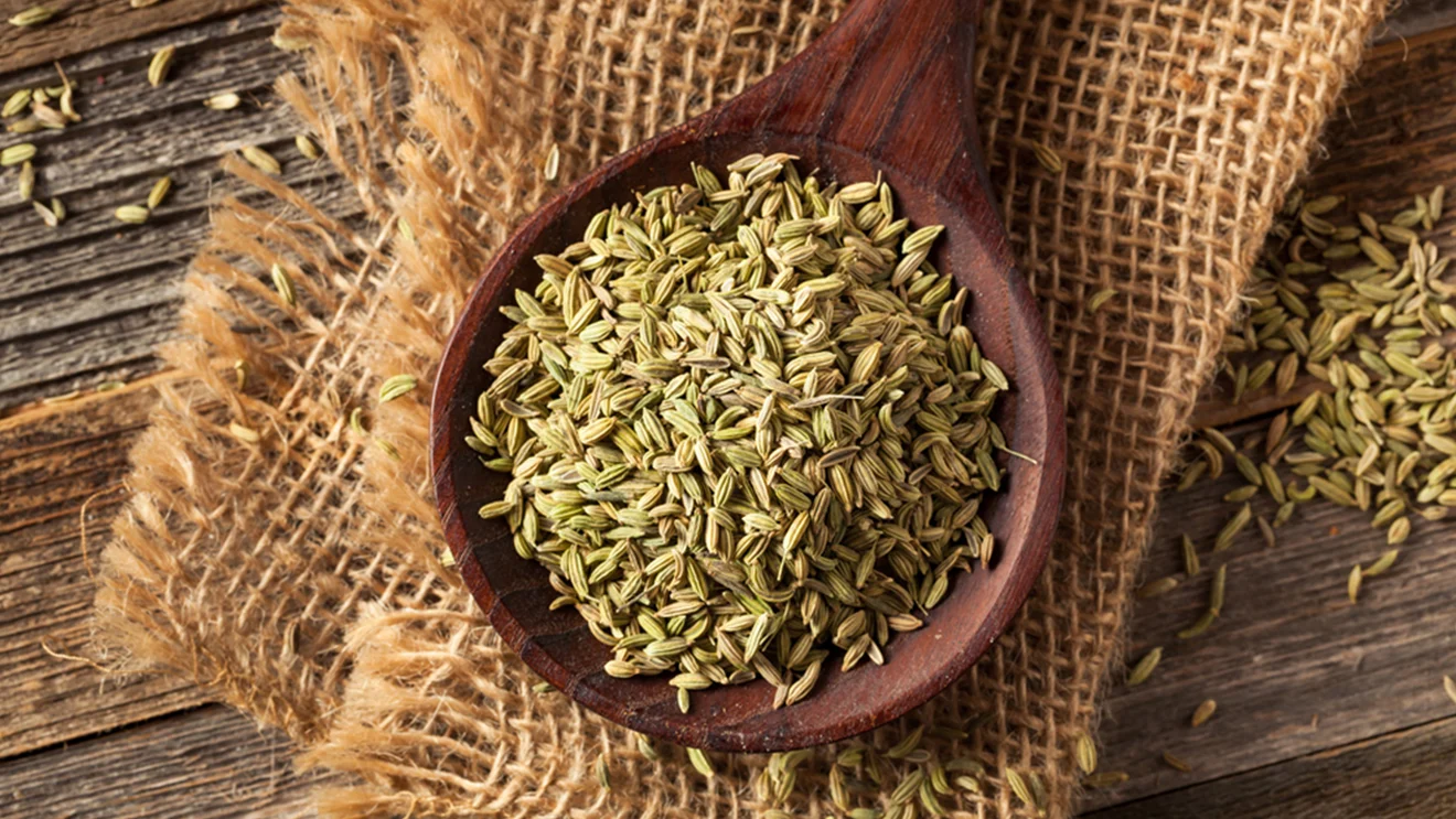 Why Choose Viyan Agro for Your Fennel Seeds / Saunf Requirement?