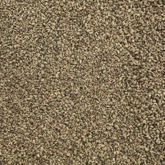 Carom Seeds