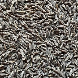 Cumin Seeds