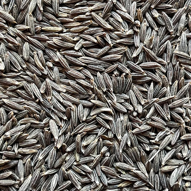 Cumin Seeds