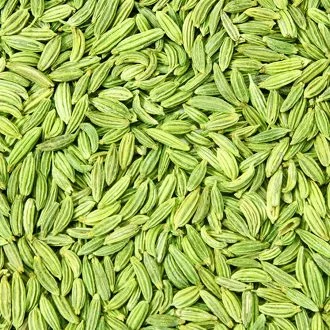 Fennel Seeds