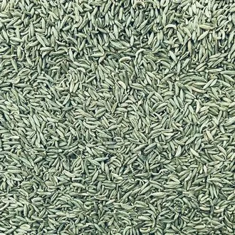 Fennel Seeds (Lakhnavi)