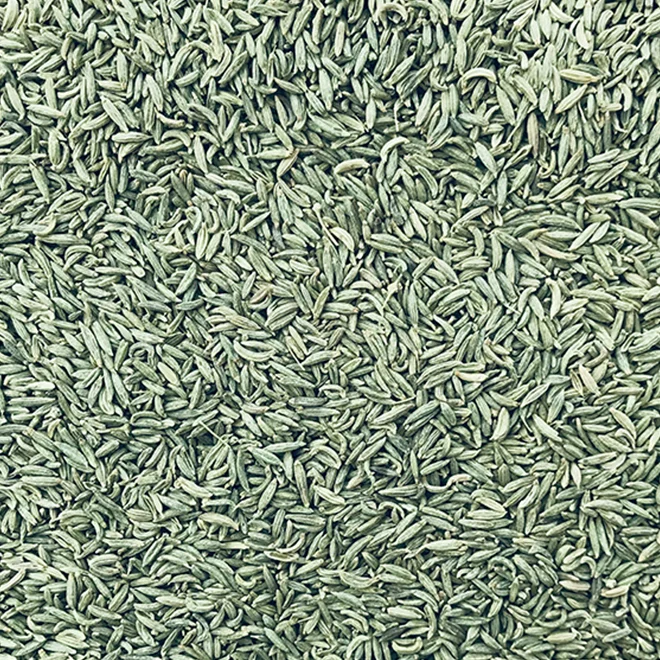 Fennel Seeds (Lakhnavi)