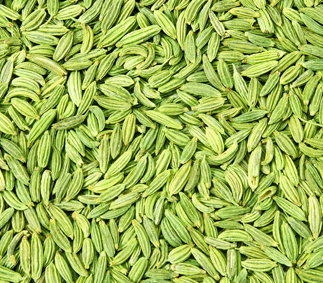 Fennel Seeds