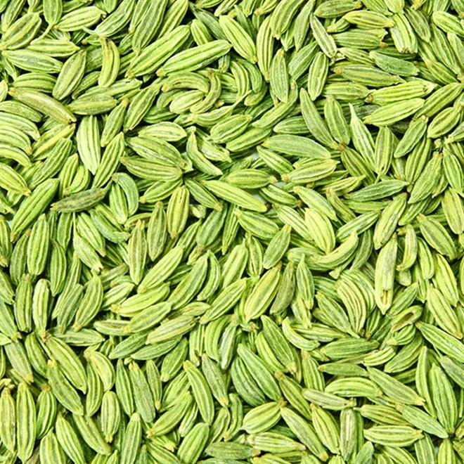 Fennel Seeds