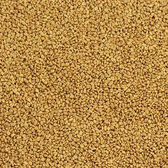 Fenugreek Seeds