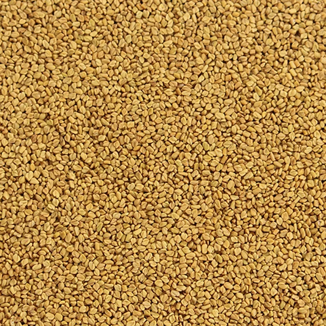 Fenugreek Seeds