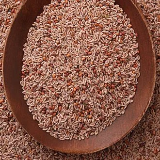 Psyllium Seeds