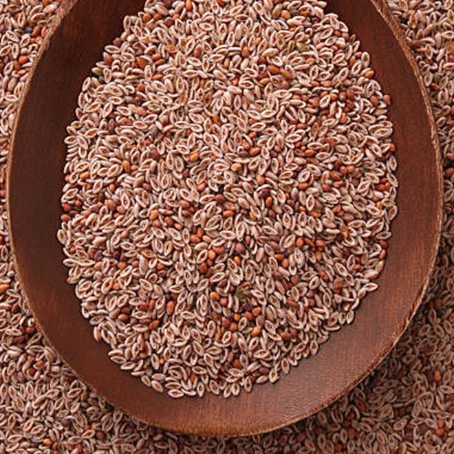 Psyllium Seeds